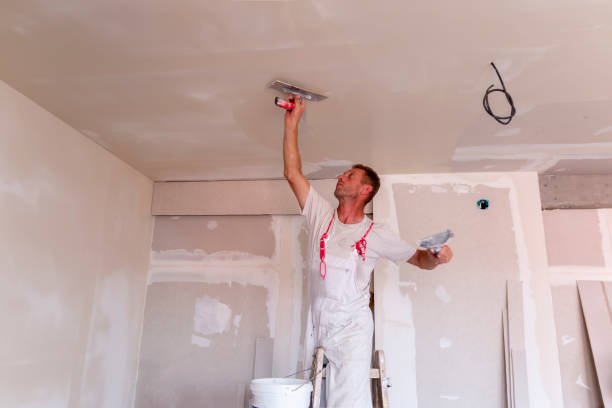 Best Wallpaper Removal and Painting  in Coram, NY